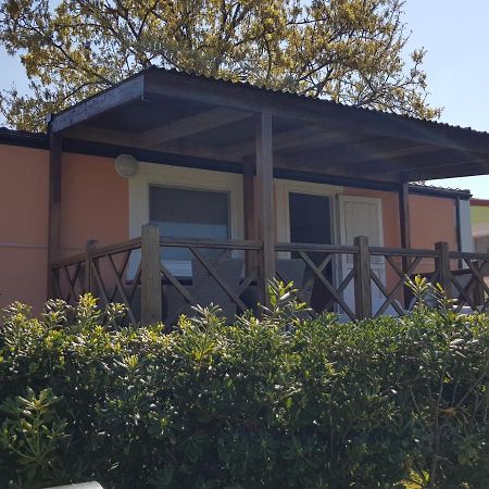 Naturist Mobile Homes Eden In Fkk Ulika Poreč Exteriör bild